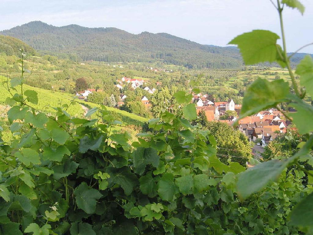 Ferienwohnung Am Blumengaessle Mullheim  Exteriör bild