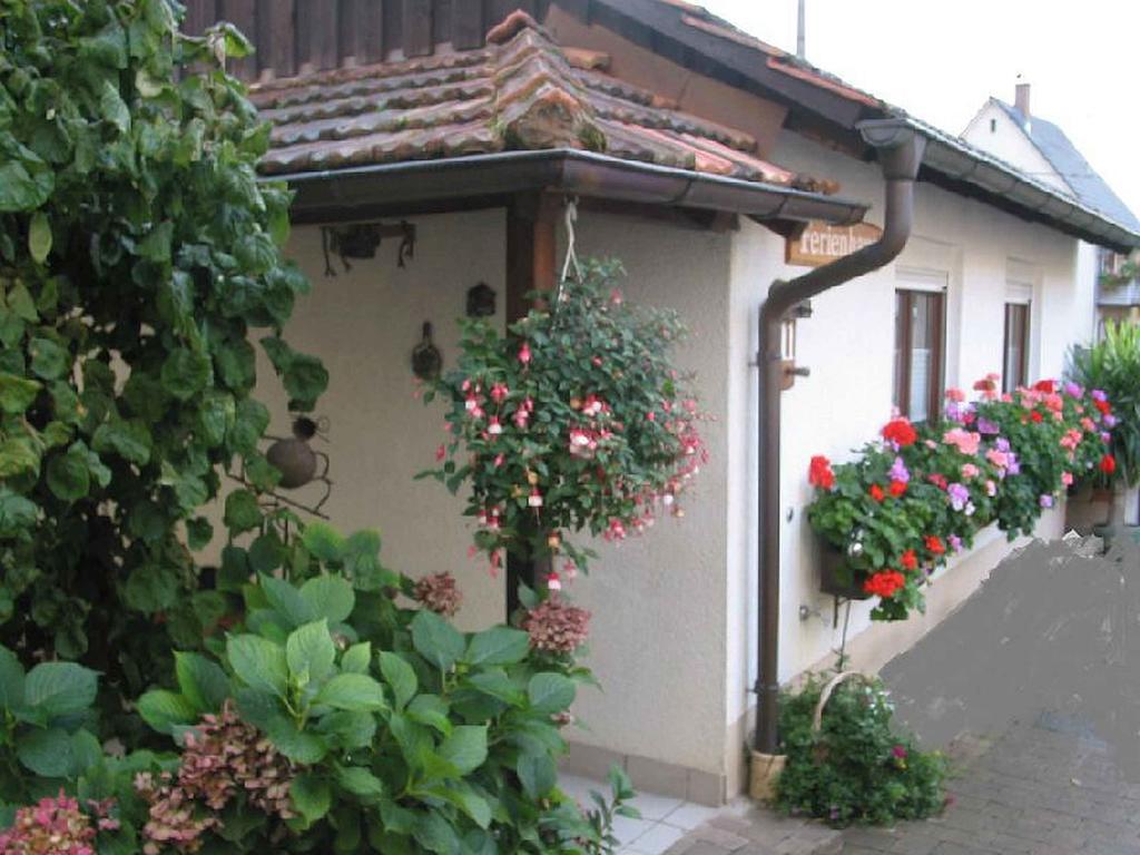 Ferienwohnung Am Blumengaessle Mullheim  Exteriör bild